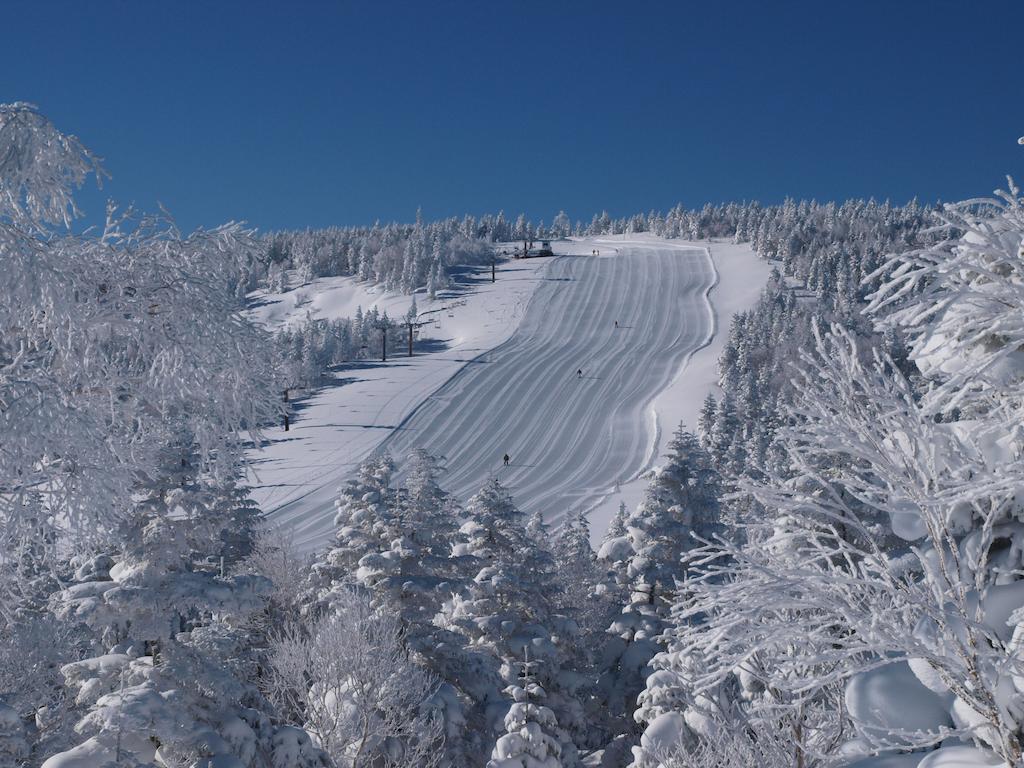 Okushiga Kogen Hotel Yamanouchi  Bagian luar foto