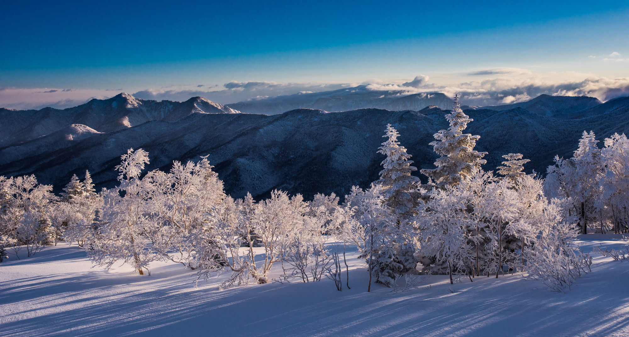 Okushiga Kogen Hotel Yamanouchi  Bagian luar foto